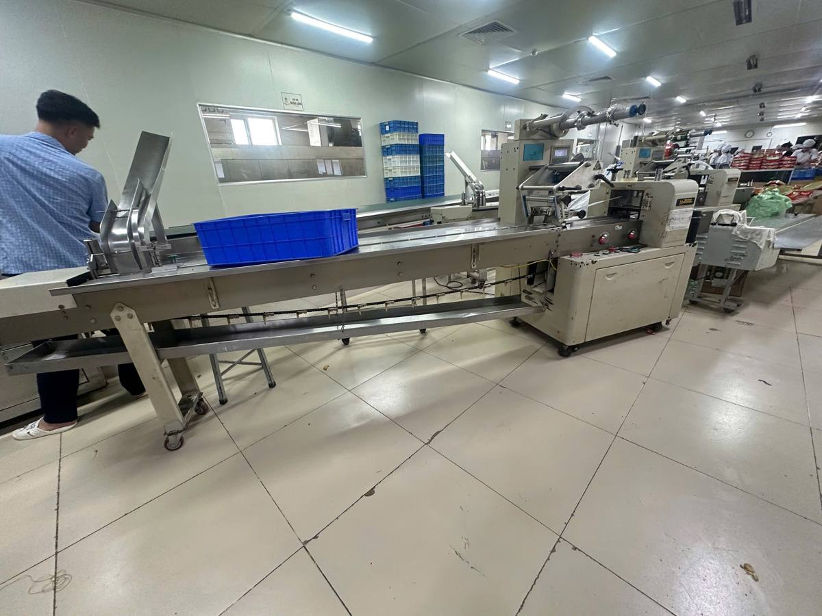 Máy đóng gói ngang và băng cấp liệu tại nhà máy bánh